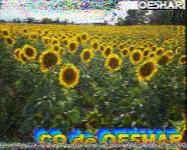 DD1GO | Thumbnail von S2_20200502_122039.png