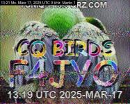 DD1GO | Thumbnail von M1_20250317_132112.jpg