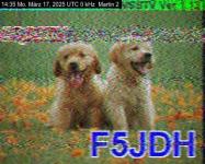 DD1GO | Thumbnail von M2_20250317_143504.jpg