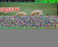 DD1GO | Thumbnail von M2_20250317_143907.jpg