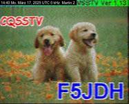 DD1GO | Thumbnail von M2_20250317_144005.jpg