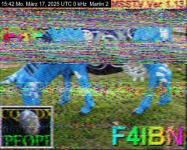 DD1GO | Thumbnail von M2_20250317_154213.jpg