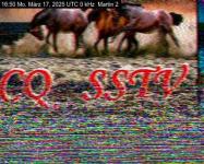DD1GO | Thumbnail von M2_20250317_165022.jpg
