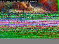 DD1GO | Thumbnail von R36_20250404_085531.jpg