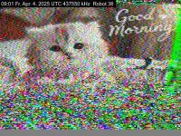 DD1GO | Thumbnail von R36_20250404_090120.jpg