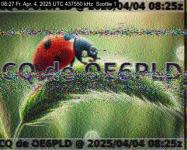 DD1GO | Thumbnail von S1_20250404_082709.jpg