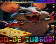 DD1GO | Thumbnail von S2_20250504_080713.jpg
