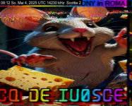 DD1GO | Thumbnail von S2_20250504_081203.jpg