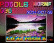 DD1GO | Thumbnail von S2_20241029_134859.jpeg