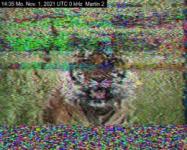 DD1GO | Thumbnail von M2_20211101_143551.jpg