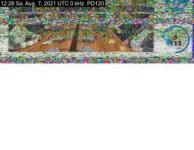 DD1GO | Thumbnail von PD120_20210807_122854.jpg