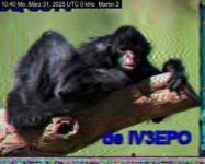 DD1GO | Thumbnail von M2_20250331_104038.jpg