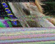 DD1GO | Thumbnail von M2_20250403_153651.jpg