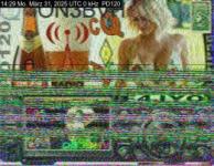 DD1GO | Thumbnail von PD120_20250331_142935.jpg