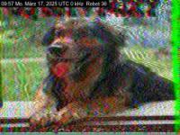 DD1GO | Thumbnail von R36_20250317_095700.jpg