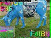 DD1GO | Thumbnail von R36_20250317_112438.jpg