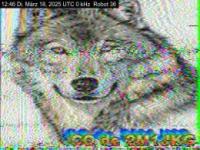DD1GO | Thumbnail von R36_20250318_124657.jpg