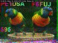 DD1GO | Thumbnail von R36_20250318_144822.jpg