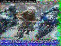 DD1GO | Thumbnail von R36_20250318_155255.jpg