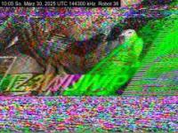 DD1GO | Thumbnail von R36_20250330_100503.jpg