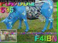 DD1GO | Thumbnail von R36_20250331_121333.jpg
