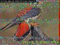 DD1GO | Thumbnail von R72_20250329_121330.jpg