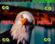 DD1GO | Thumbnail von S1_20250318_142602.jpg