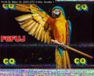 DD1GO | Thumbnail von S1_20250318_143416.jpg