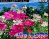 DD1GO | Thumbnail von S1_20250319_124307.jpg