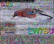 DD1GO | Thumbnail von S2_20250404_133029.jpg