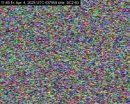 DD1GO | Thumbnail von SC2-60_20250404_114543.jpg