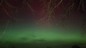 Rot und Grün, was kann schöner sein?